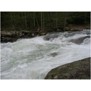 Mike Wellman in Bridge Rapid (Photo by Scott Gravatt - 4/27/04)