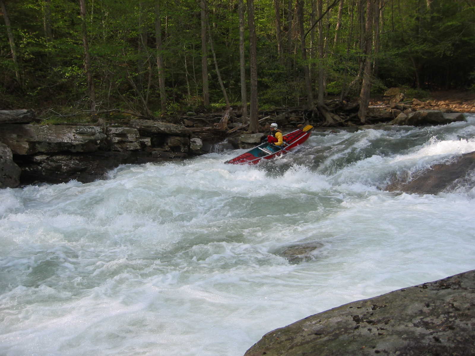 Lou Campagna in Bridge Rapid (Photo by Scott Gravatt - 4/27/04)