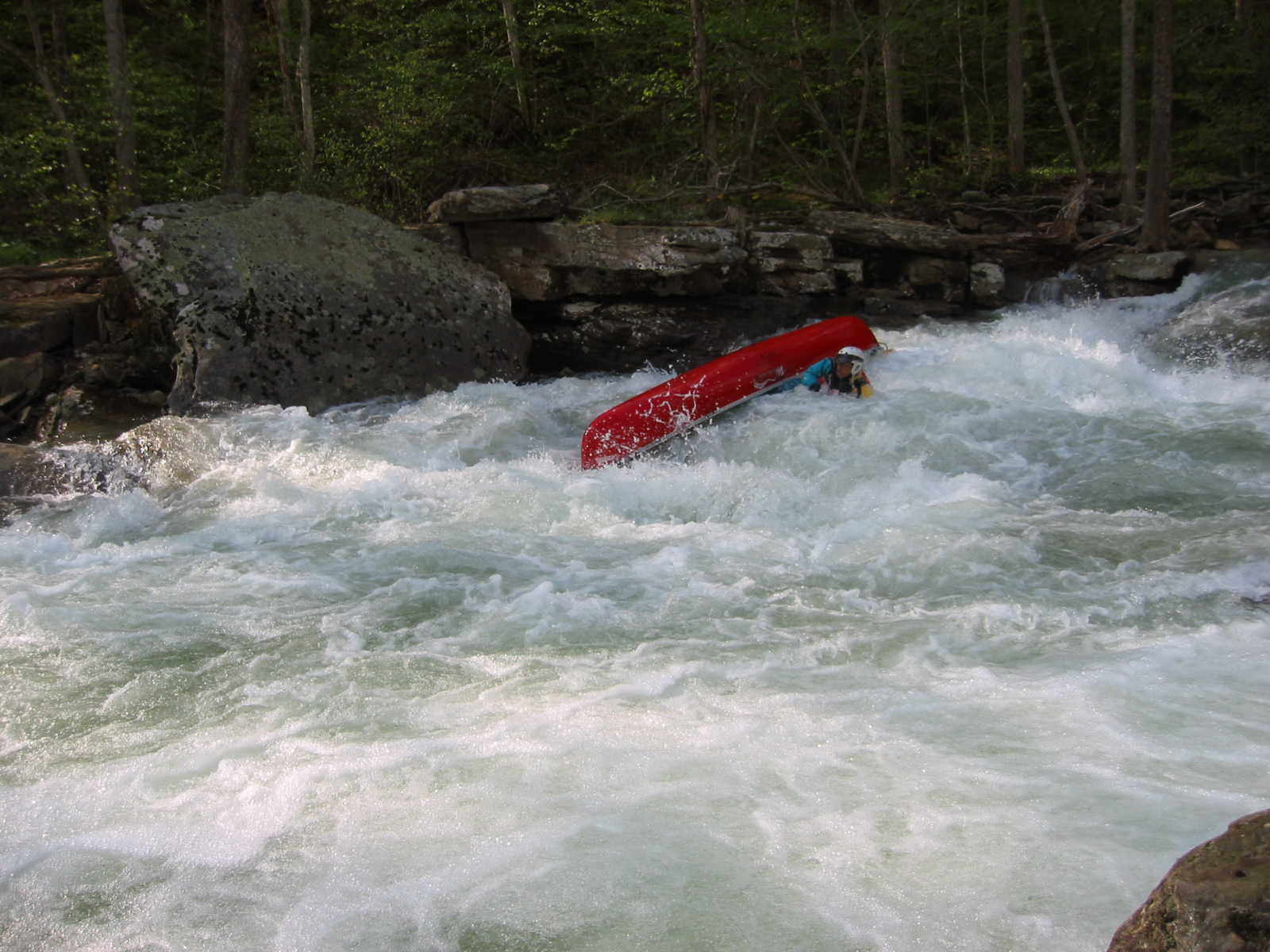 Oops, Lou didn't make it (Photo by Scott Gravatt - 4/27/04)