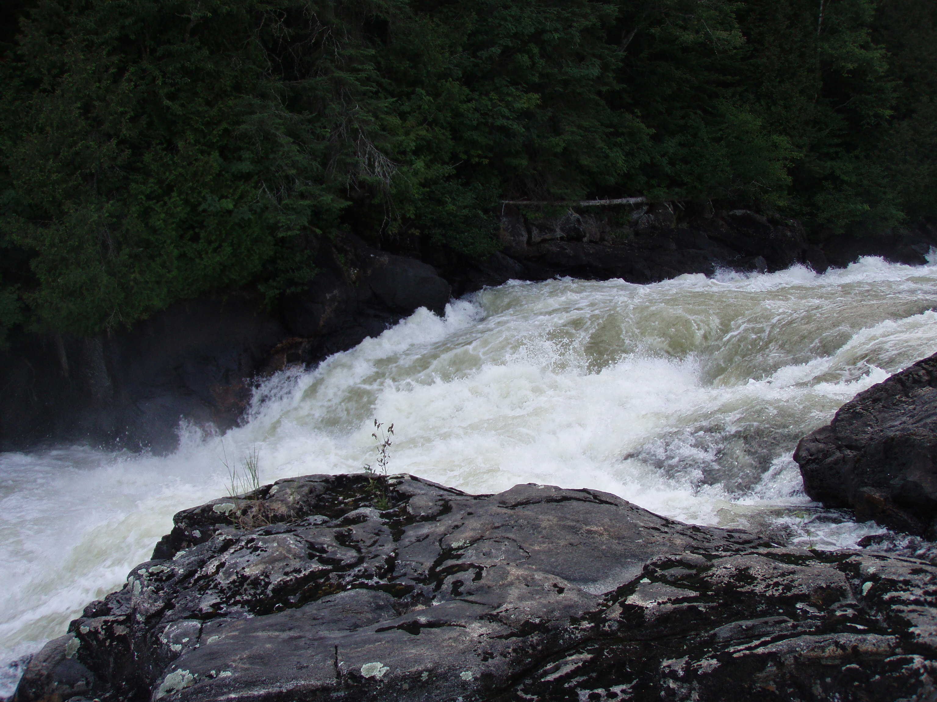 The middle of 'Rapides Narcisse' (Photo by Keith Merkel - 8/7/07)