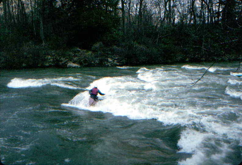 Surf's Up (Photo by Bob Maxey - 4/18/93)