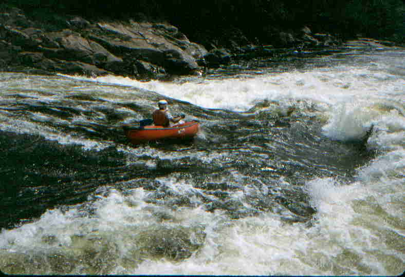 Lou Campagna in Mushroom (Photo by Bob Maxey - 7/23/01)