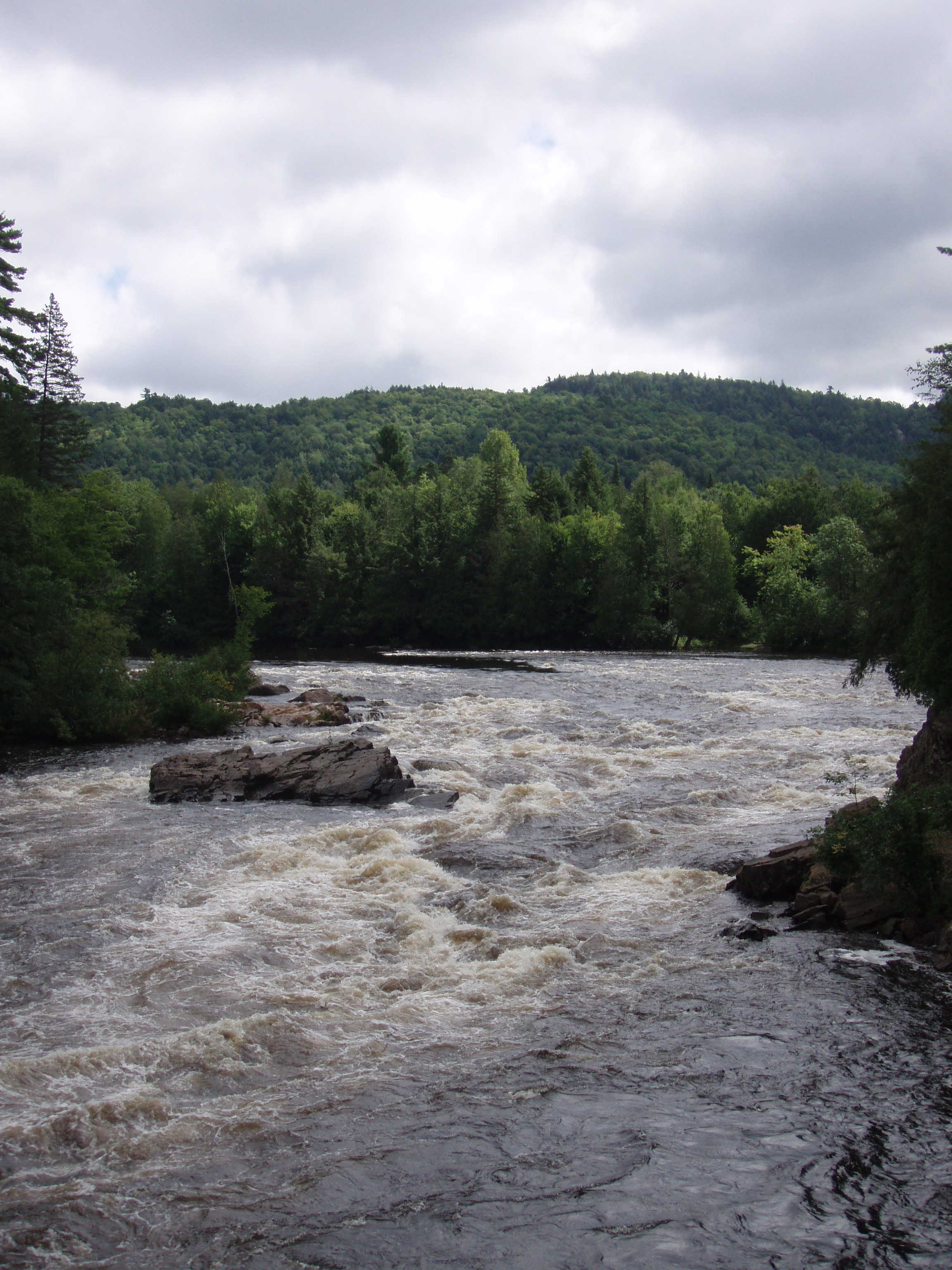 Looking upstream after the start of the canyon. (Photo by Keith Merkel - 8/12/08)