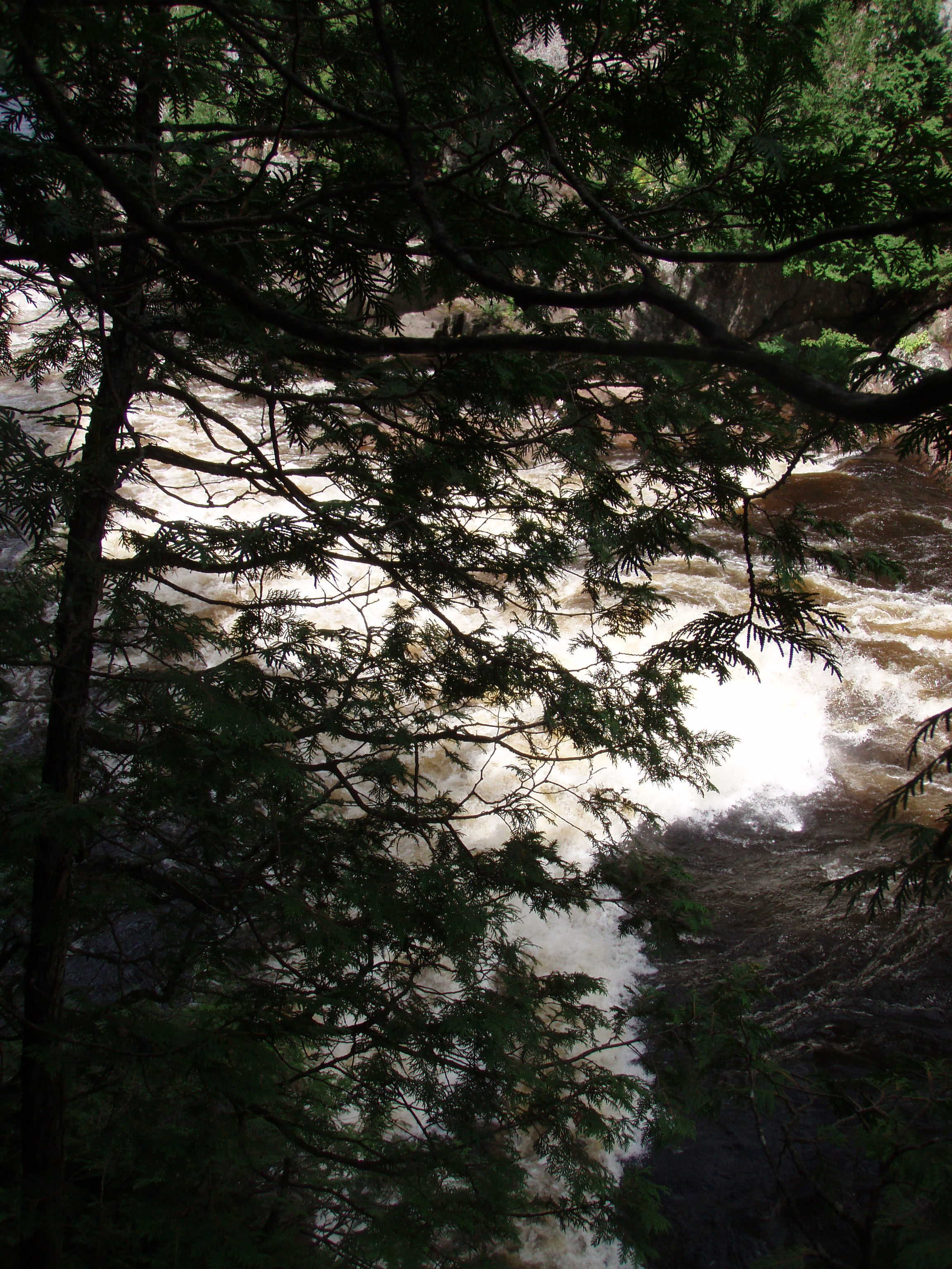 Looking downstream at the remainder of the canyon's class 4 from hiking trail. (Photo by Keith Merkel - 8/12/08)