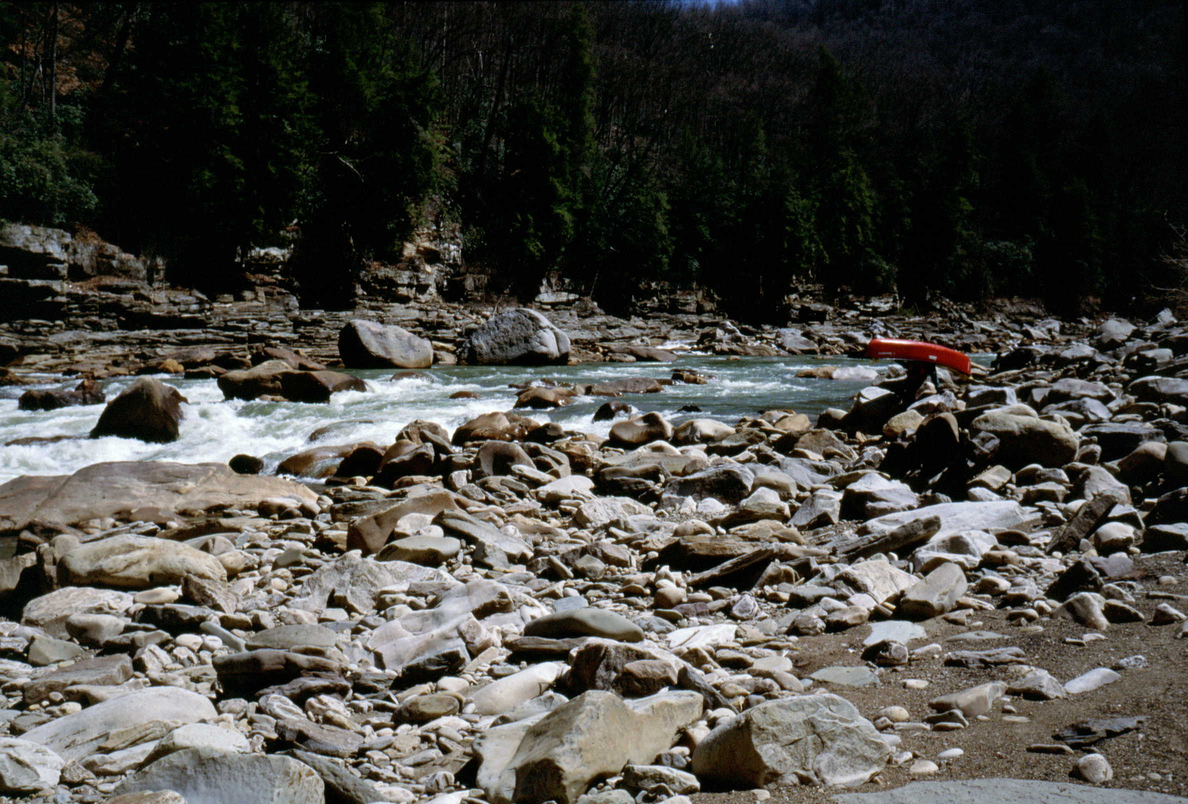 Scott carrying Lower Coliseum because of paddle situation (Photo by Bob Maxey - 4/10/02) 