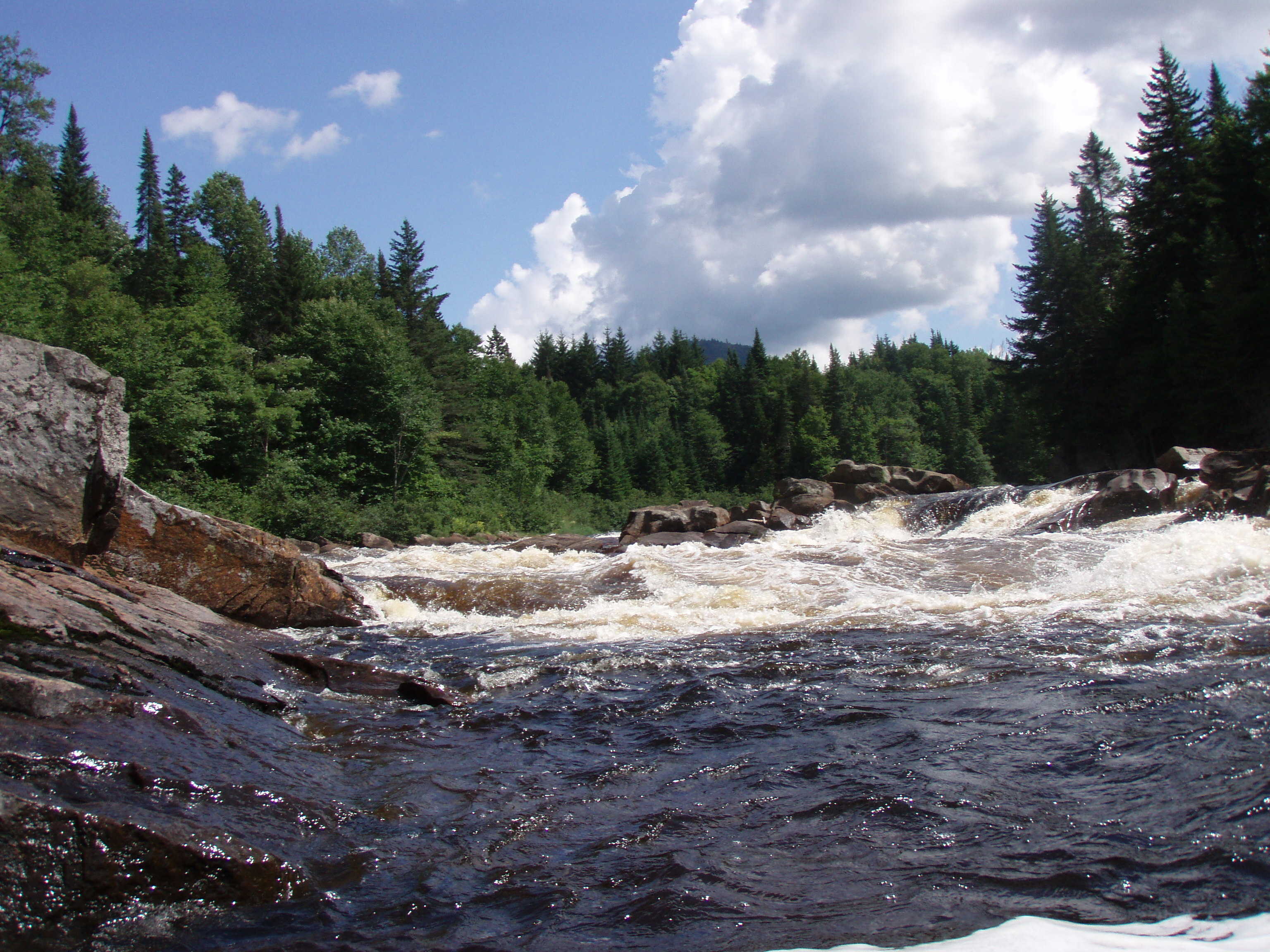 Frangins Rapid a year later (Photo by Keith Merkel - 8/16/08)