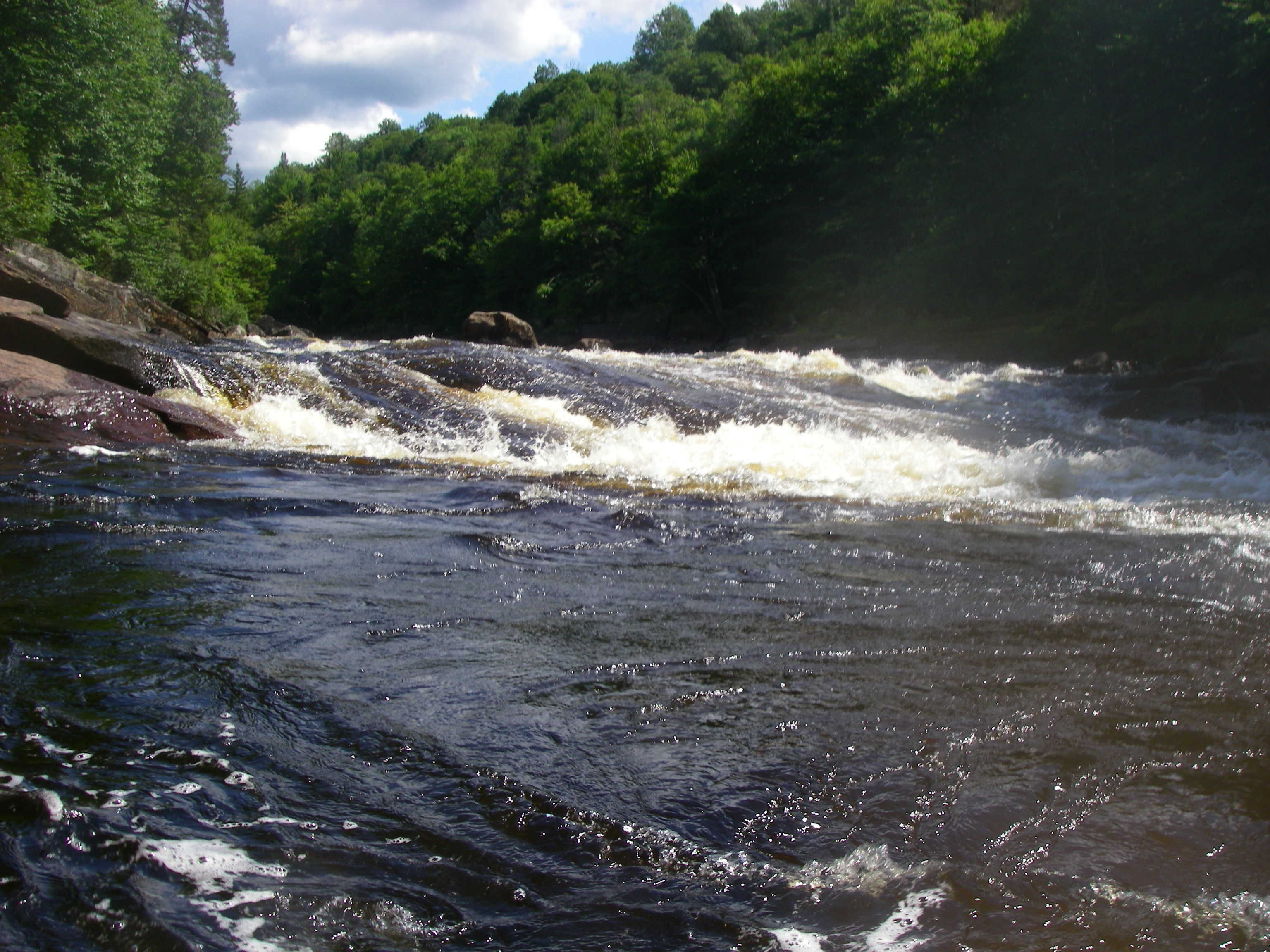 Portefouille rapid (Photo by Cahil Converse - 8/16/08)