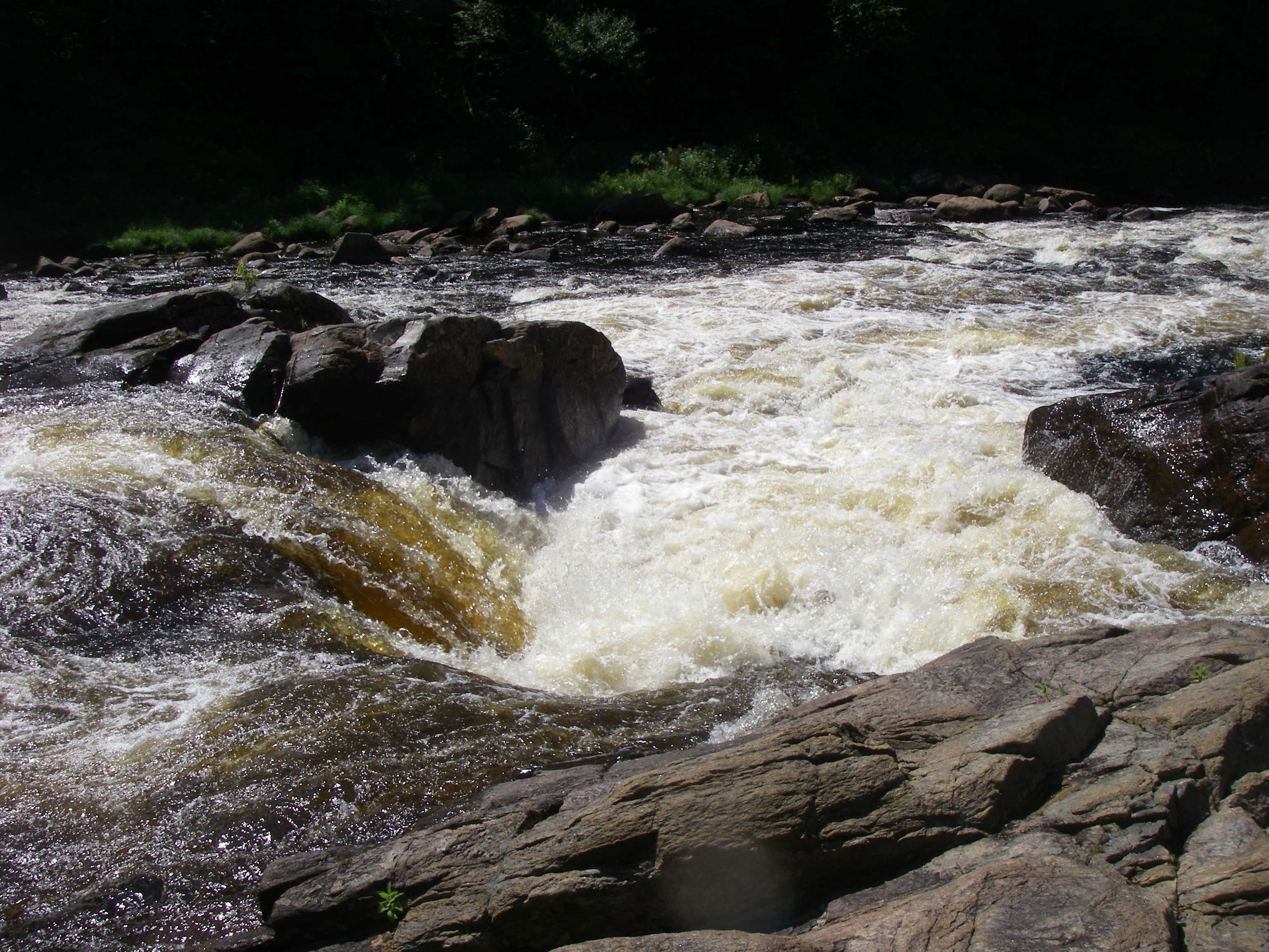 The left side of Island rapid (Photo by Cahil Converse - 8/16/08)