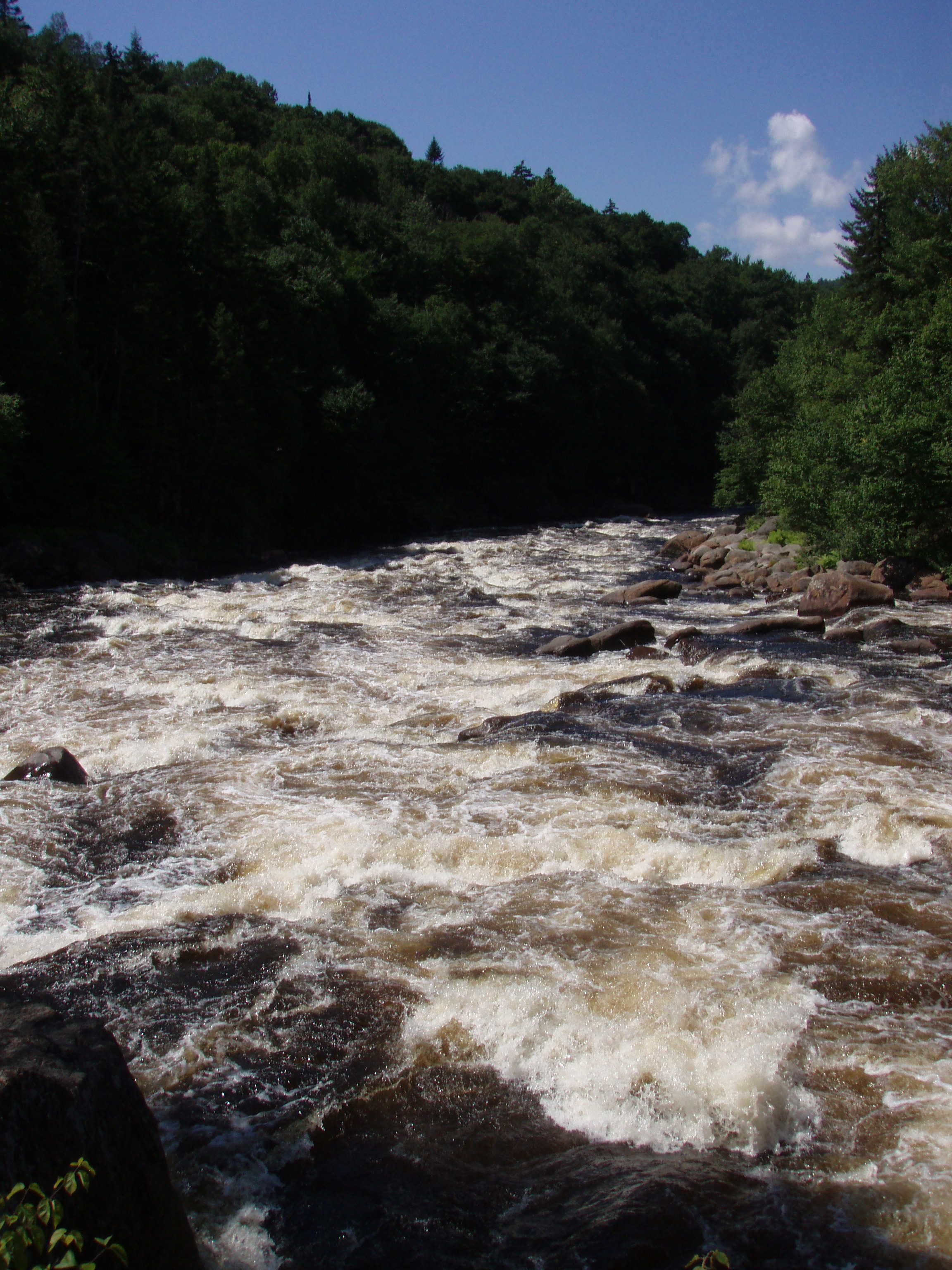 Looking downstream at remainder of Island rapid (Photo by Keith Merkel - 8/16/08)